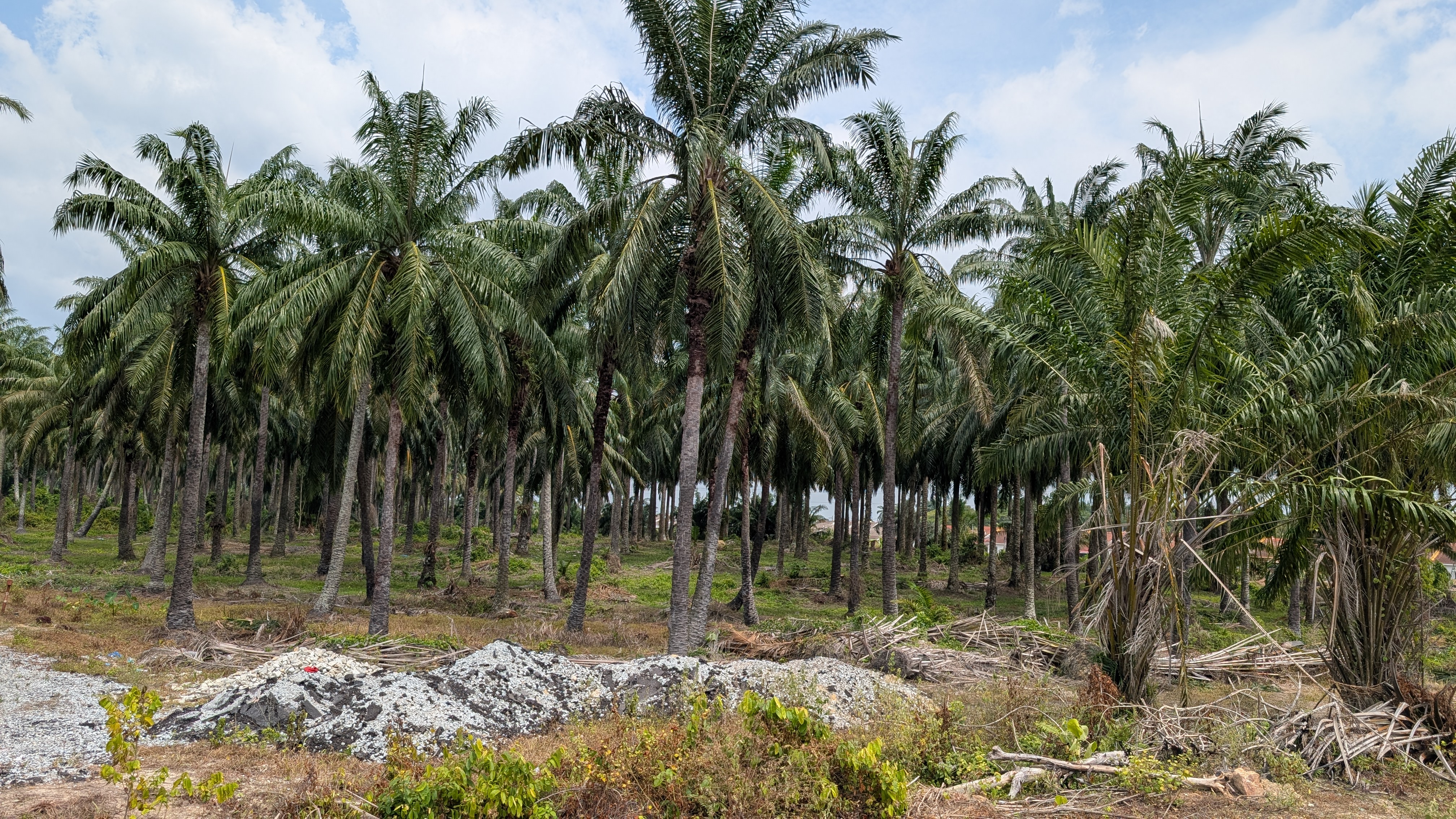Panel solar di ladang solar
